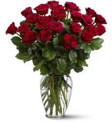 Two Dozen Short Stem Roses from Flowers by Ramon of Lawton, OK