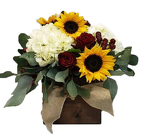 Rustic Harvest Rustic Harvest